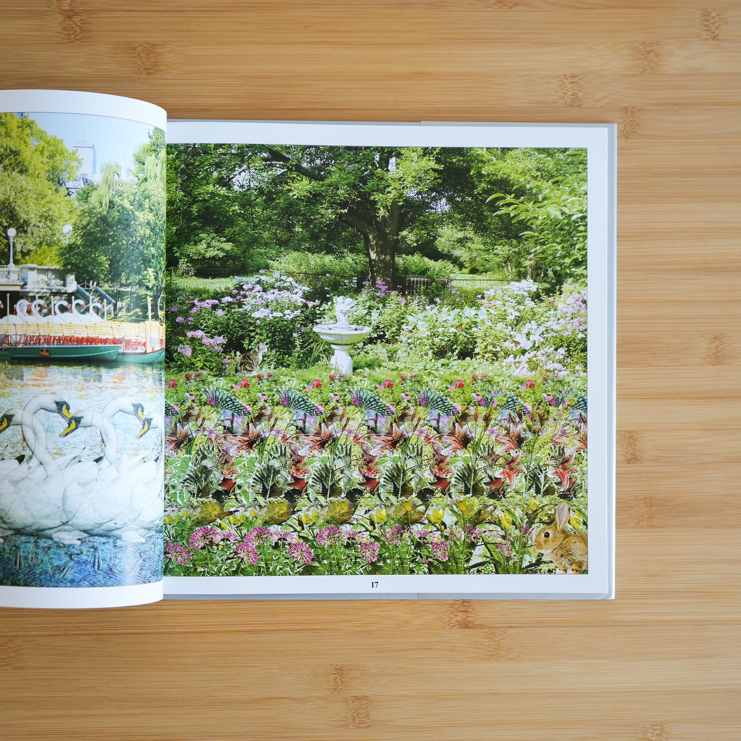 Magic Eye: 25th Anniversary by Cheri Smith