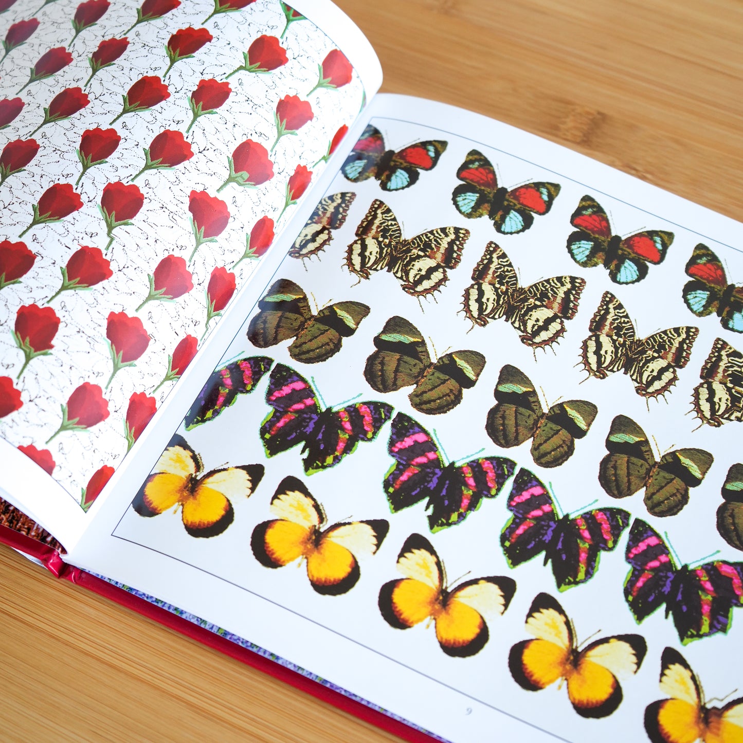 Magic Eye: A New Way of Looking at the World by Cheri Smith