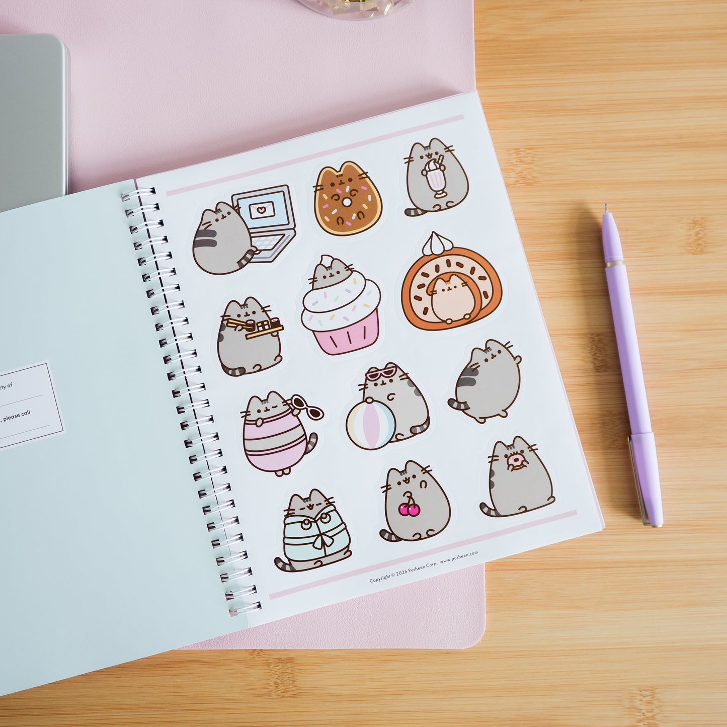 Pusheen 16-Month 2026-2027 Weekly/Monthly Planner Calendar by Claire Belton